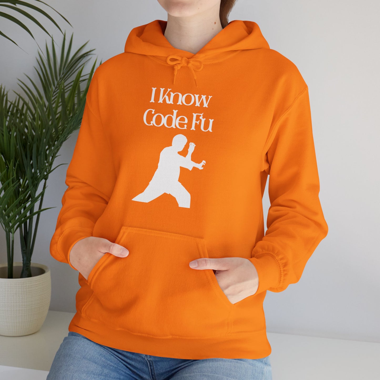 I Know Code Fu Unisex Hoodie