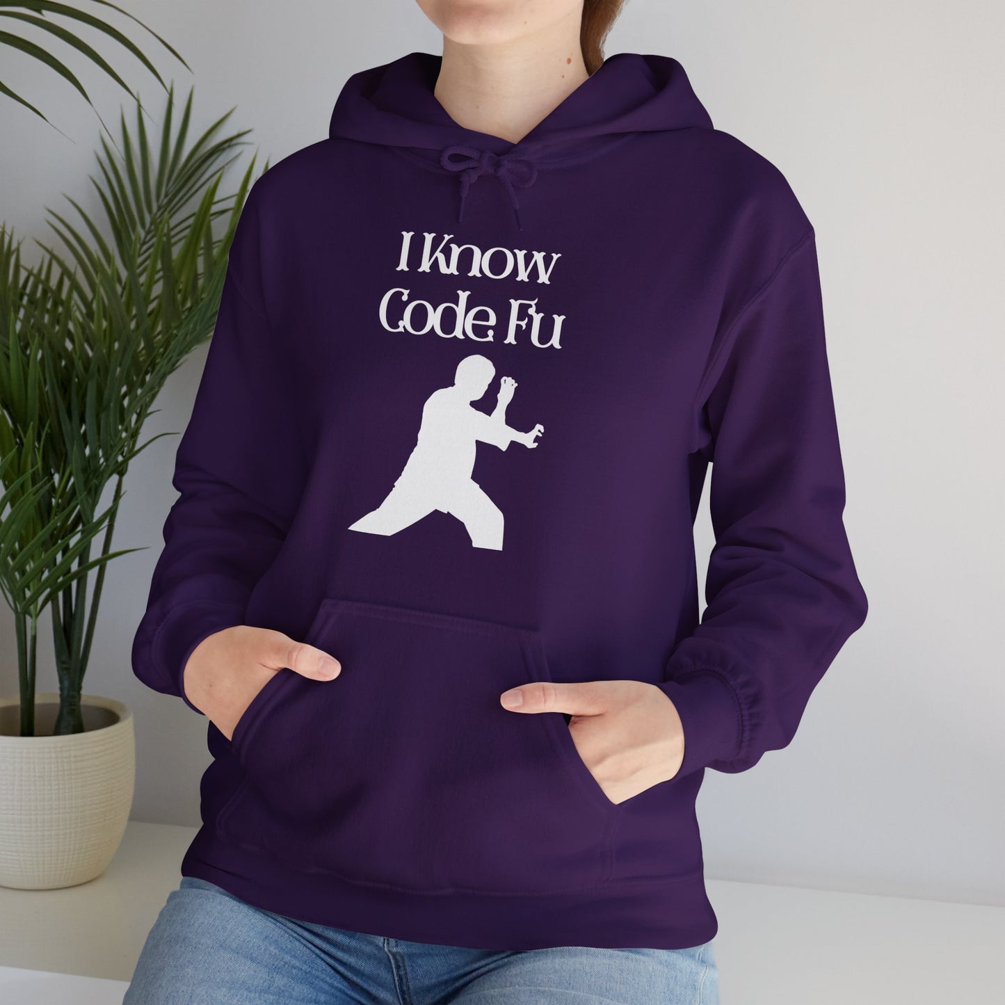 I Know Code Fu Unisex Hoodie
