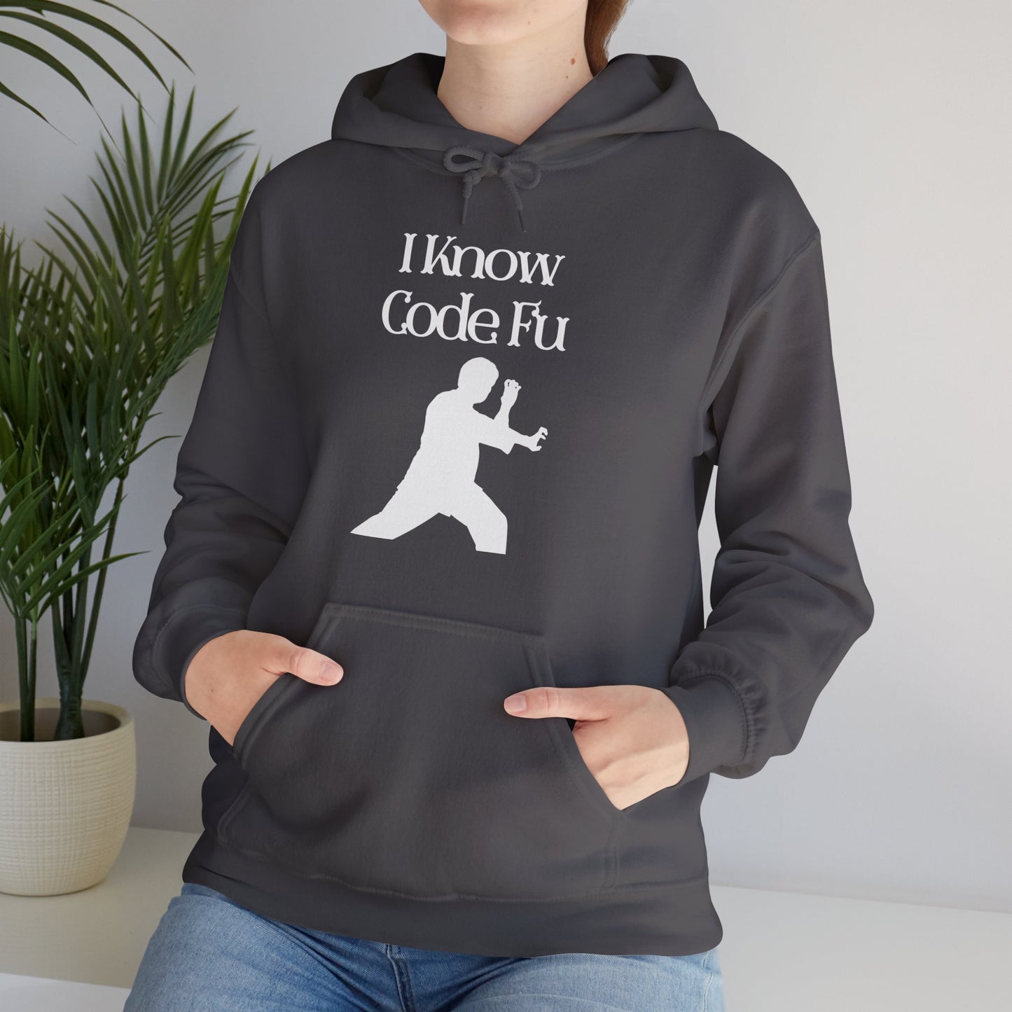I Know Code Fu Unisex Hoodie