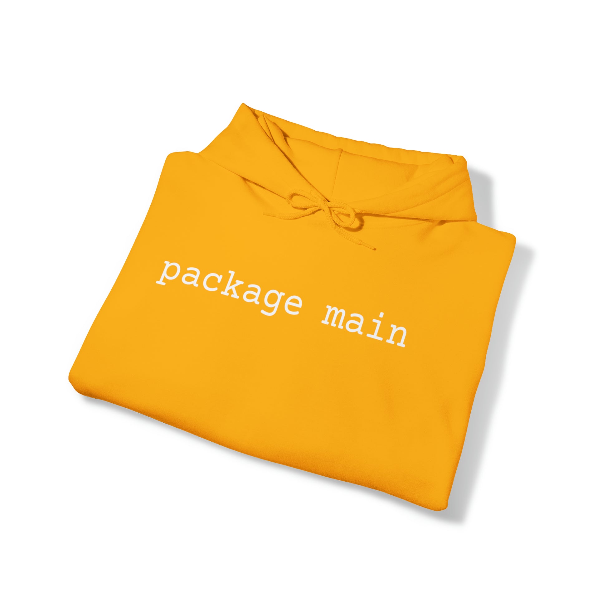 "package main" Unisex Hoodie - Coder Cave