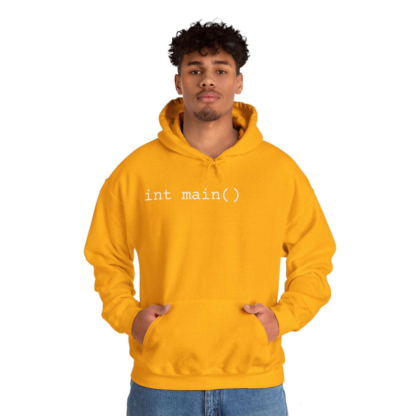 "int main()" Unisex Hoodie