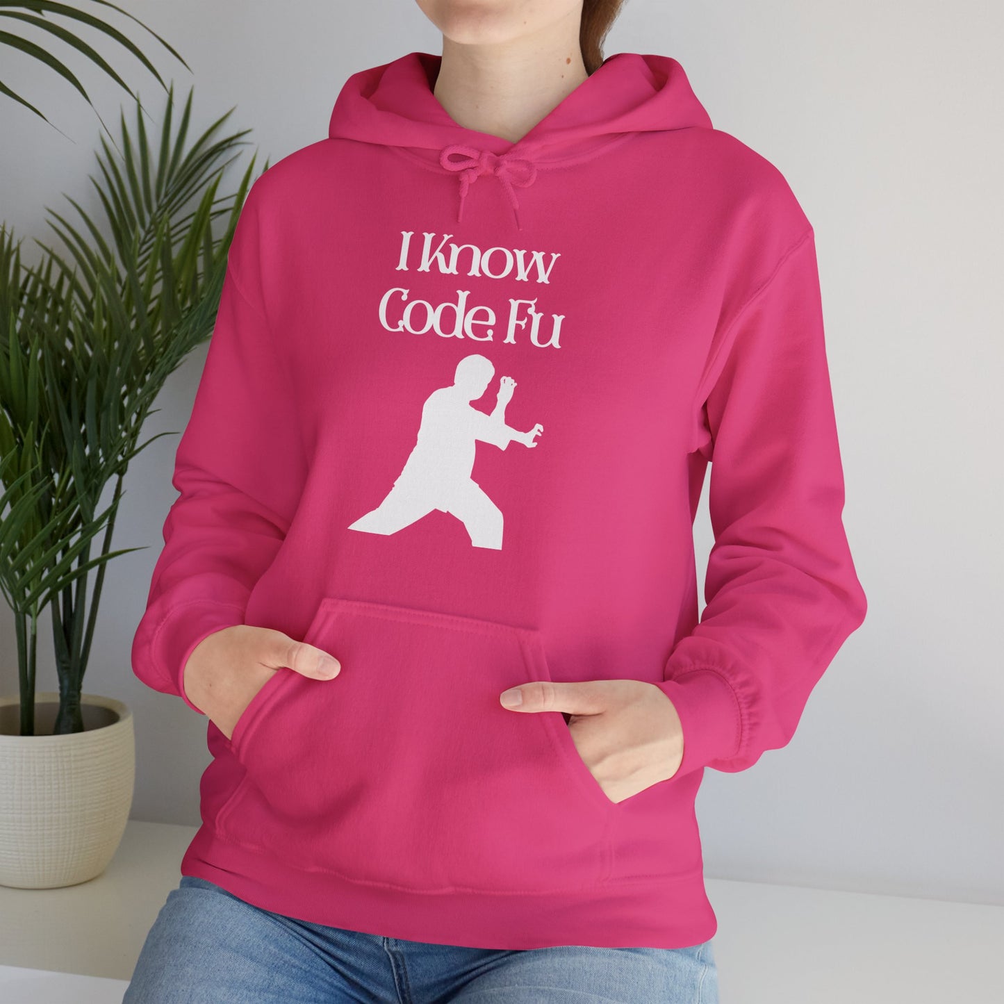 I Know Code Fu Unisex Hoodie
