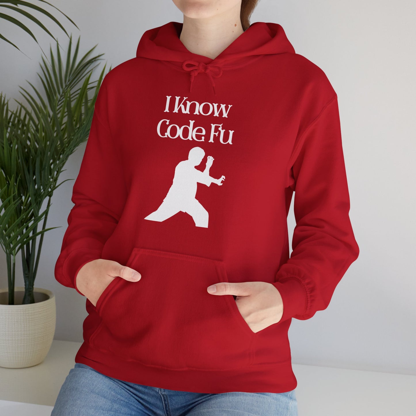I Know Code Fu Unisex Hoodie