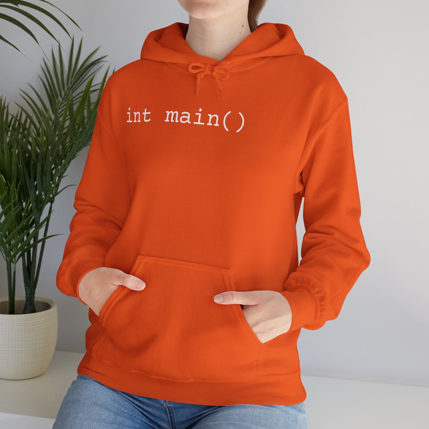 "int main()" Unisex Hoodie