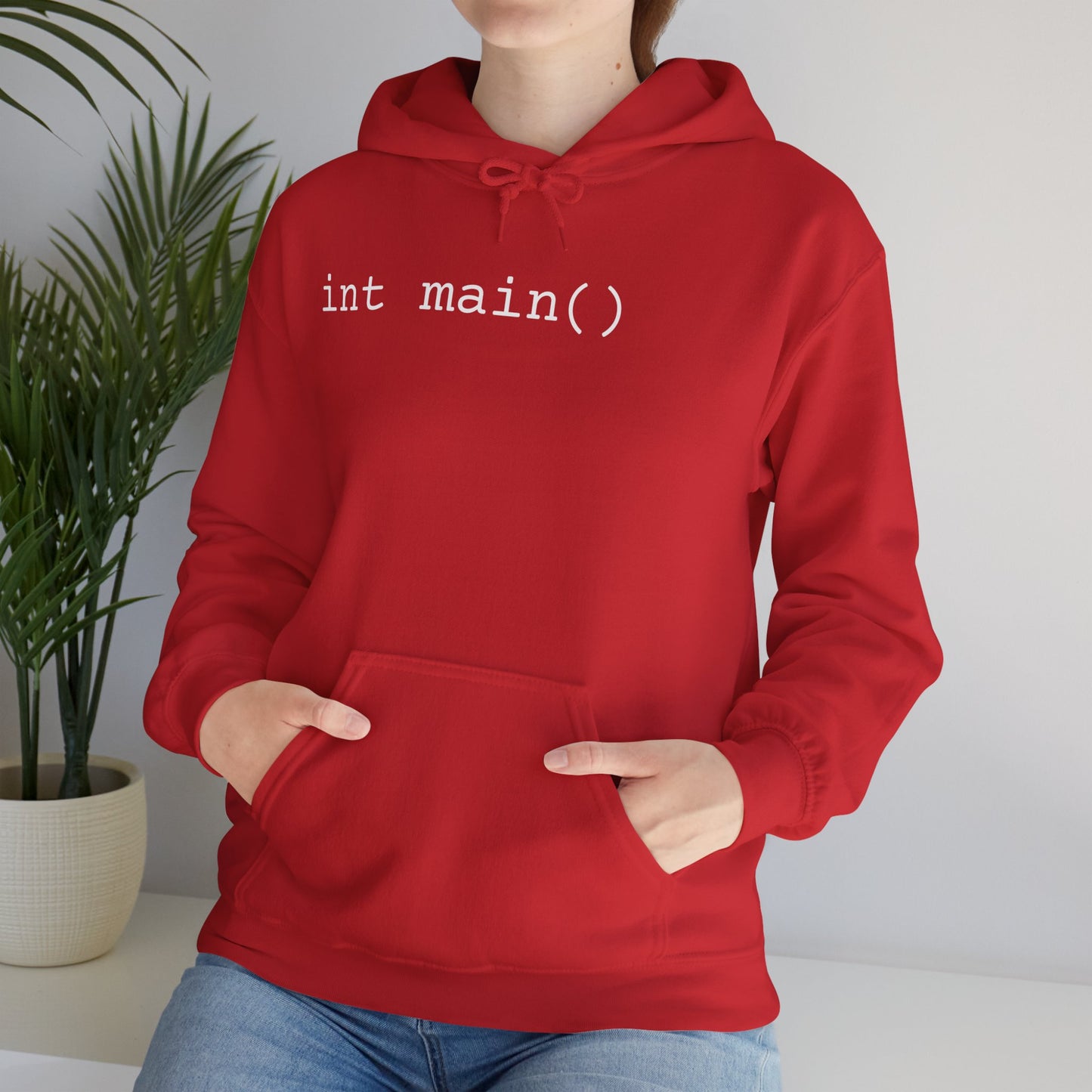 "int main()" Unisex Hoodie