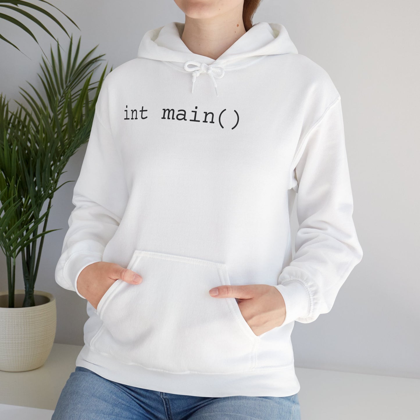 "int main()" Unisex Hoodie