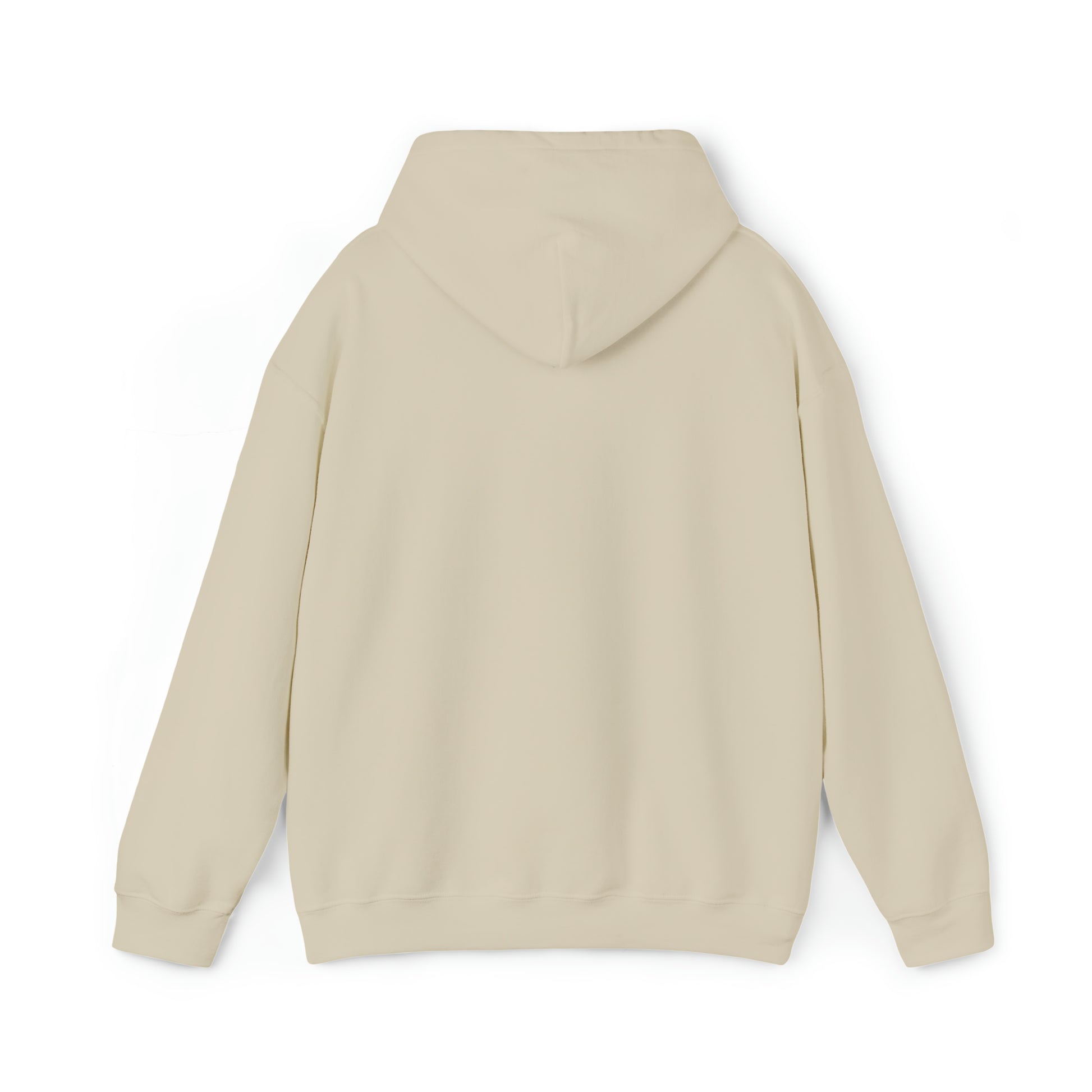 "package main" Unisex Hoodie - Coder Cave