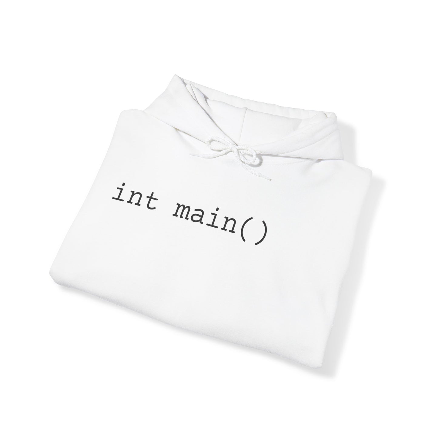 "int main()" Unisex Hoodie