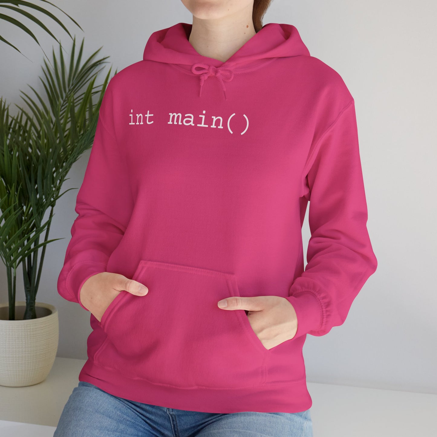 "int main()" Unisex Hoodie
