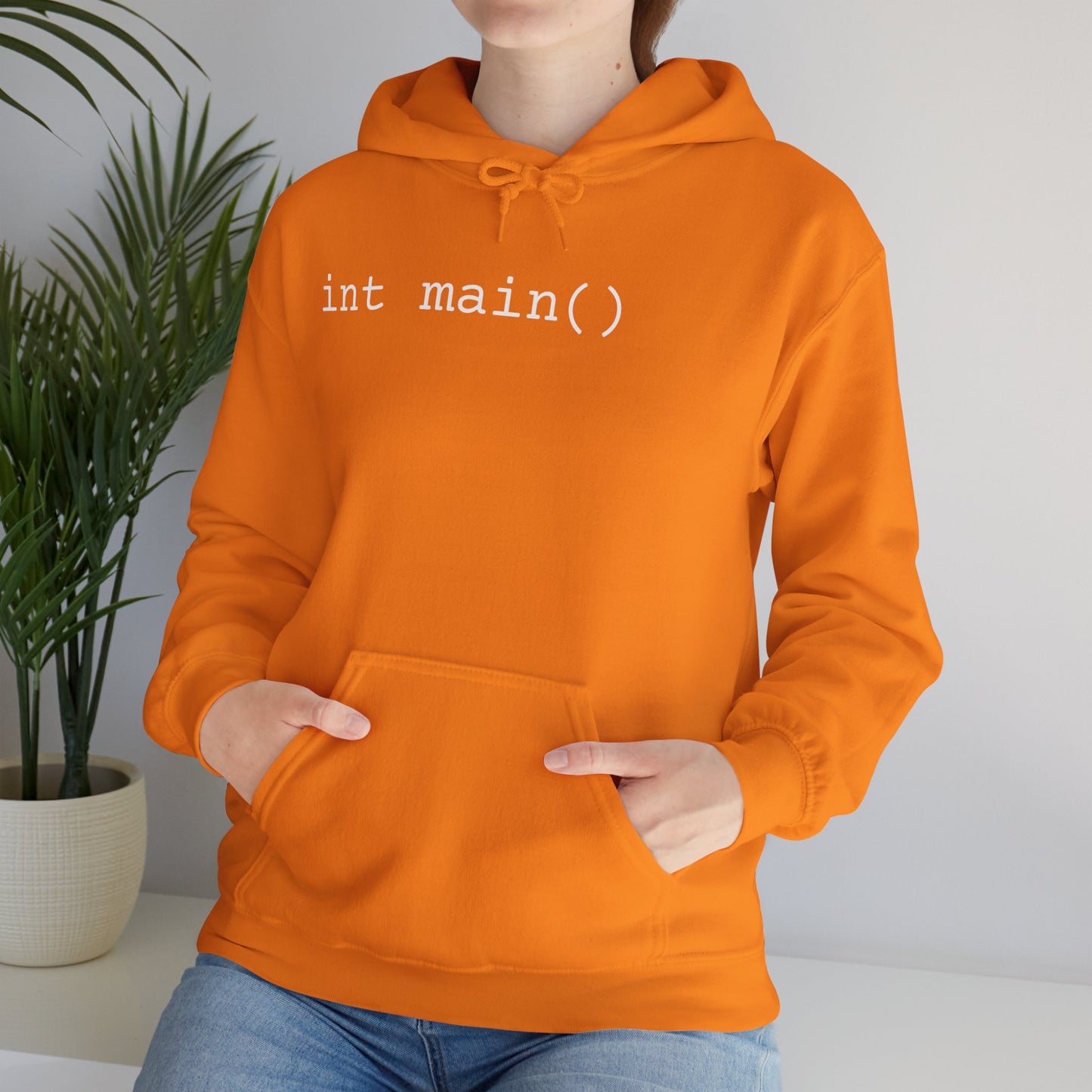 "int main()" Unisex Hoodie