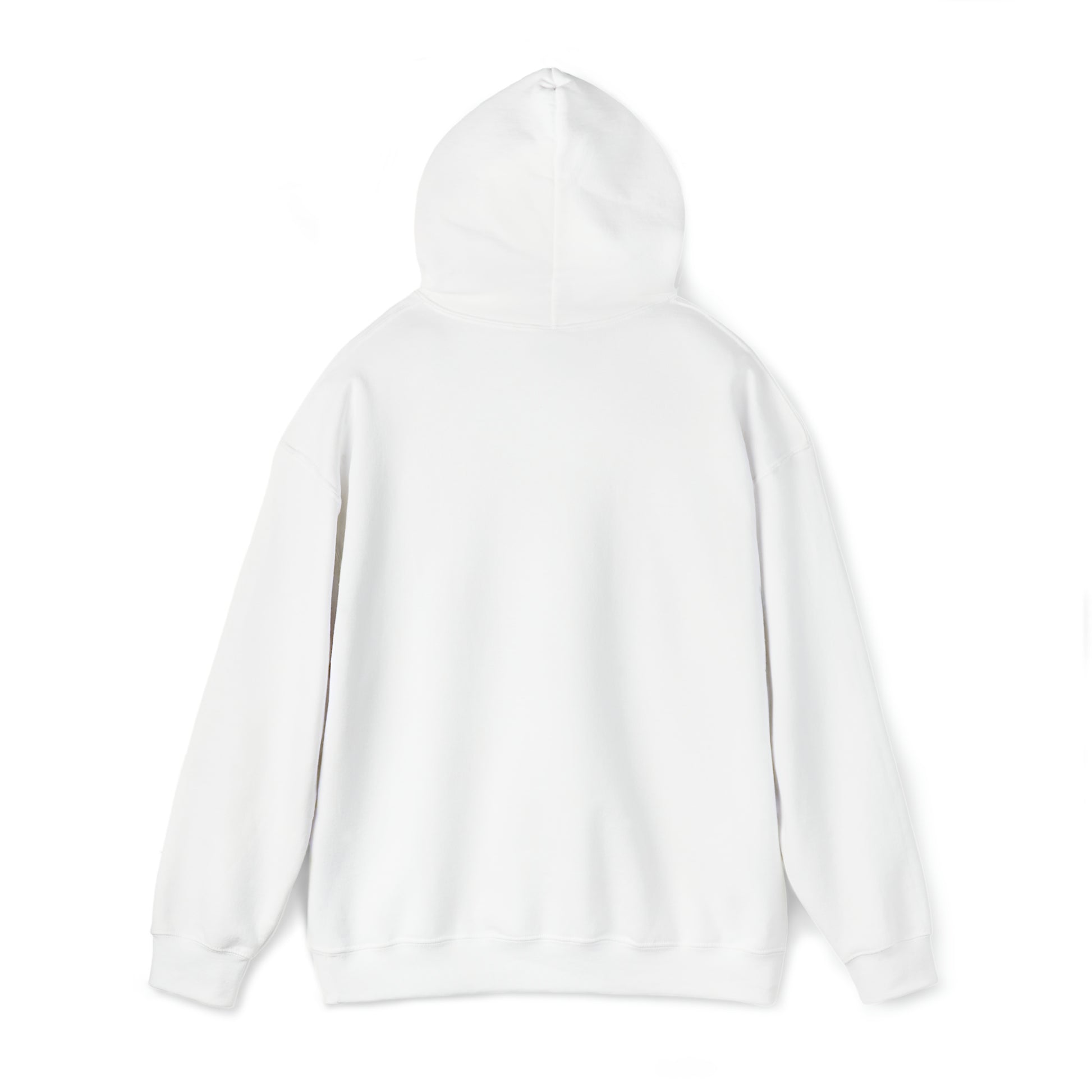 "package main" Unisex Hoodie - Coder Cave