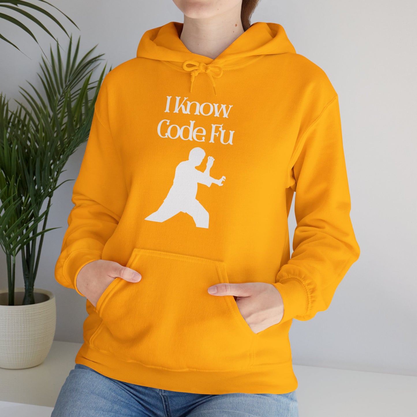 I Know Code Fu Unisex Hoodie