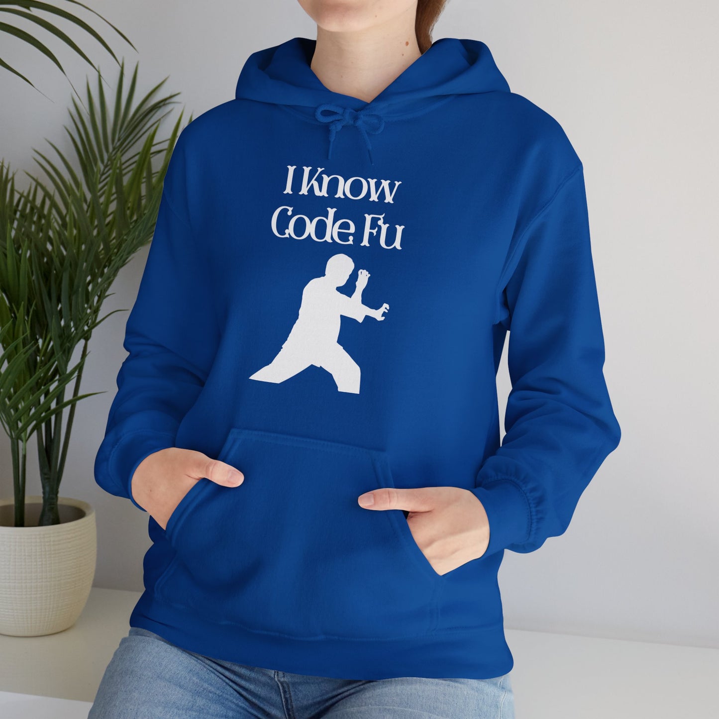 I Know Code Fu Unisex Hoodie
