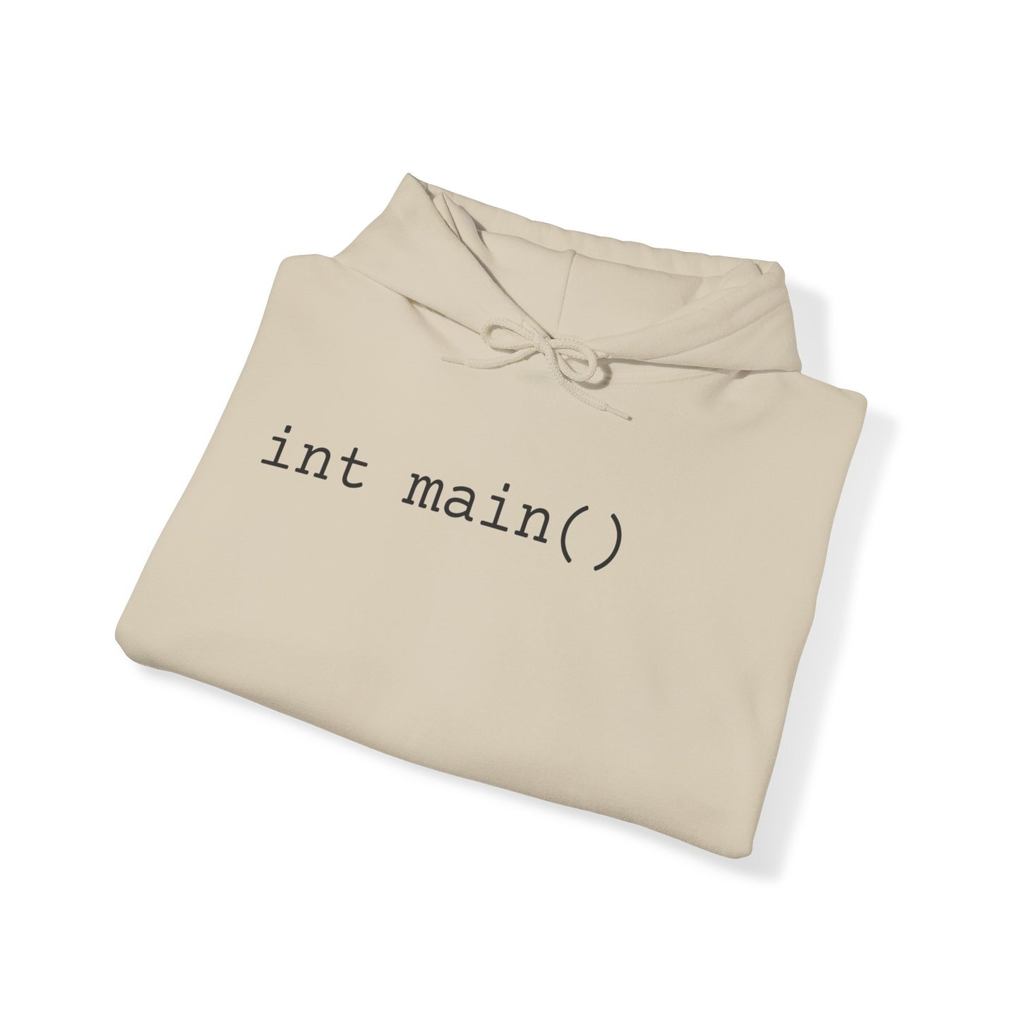 "int main()" Unisex Hoodie