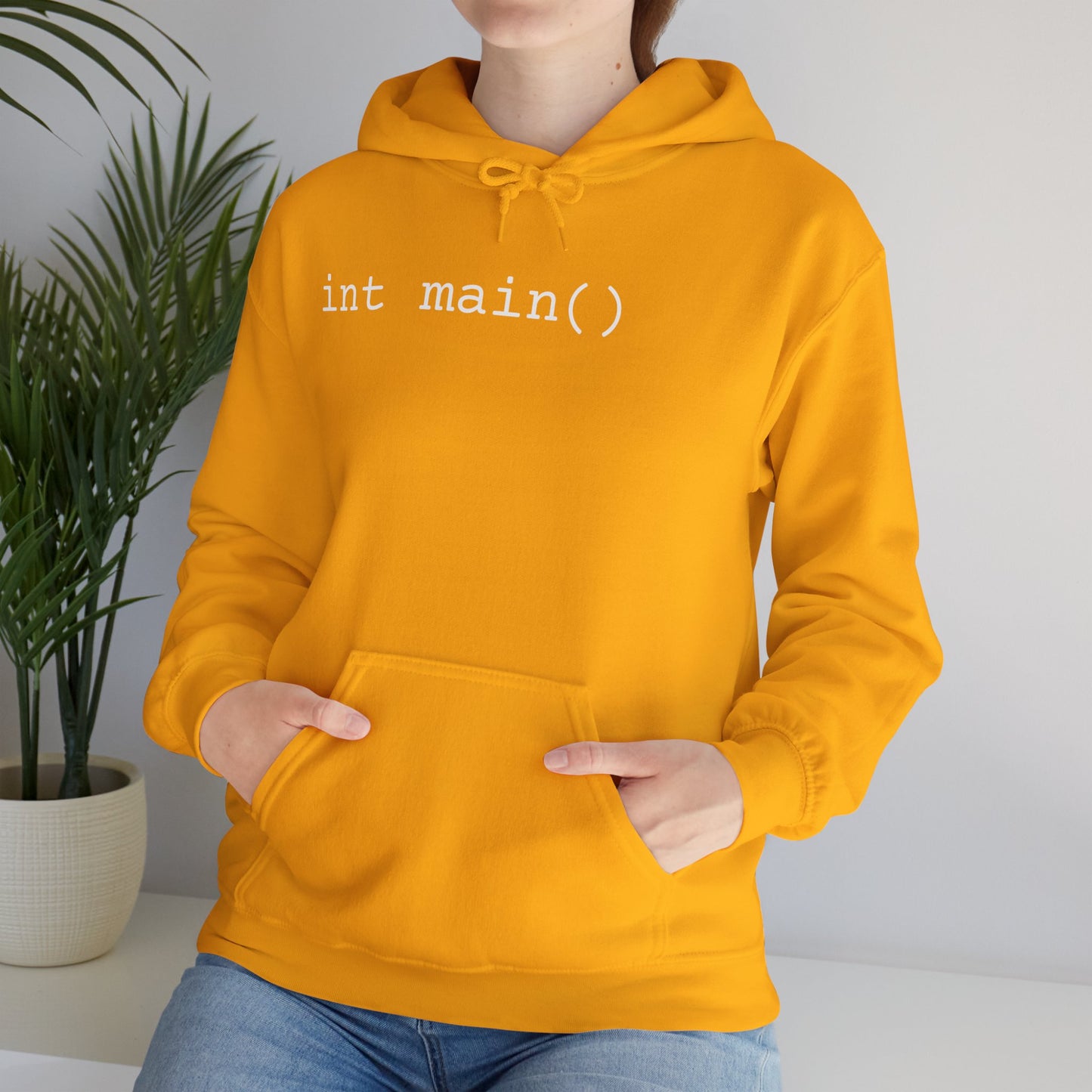 "int main()" Unisex Hoodie