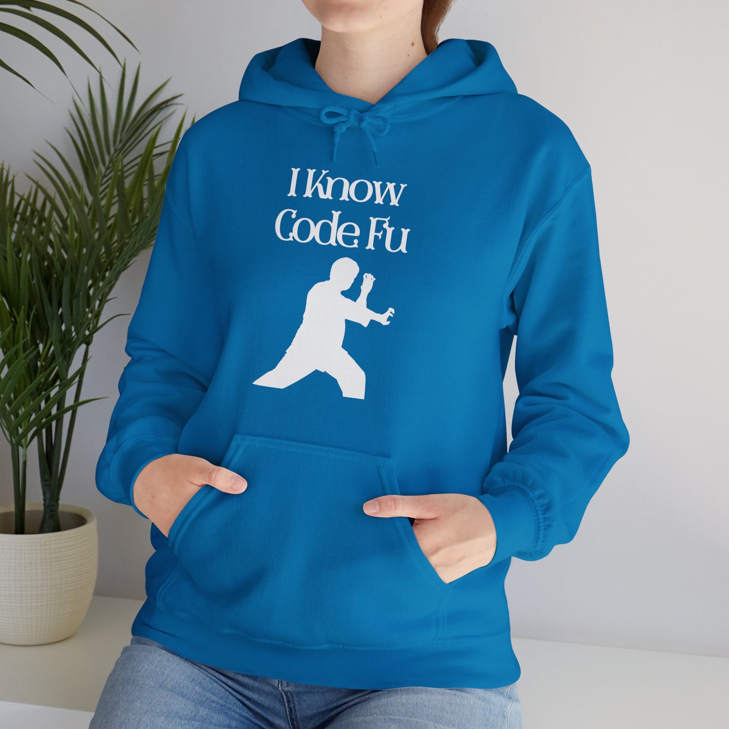 I Know Code Fu Unisex Hoodie