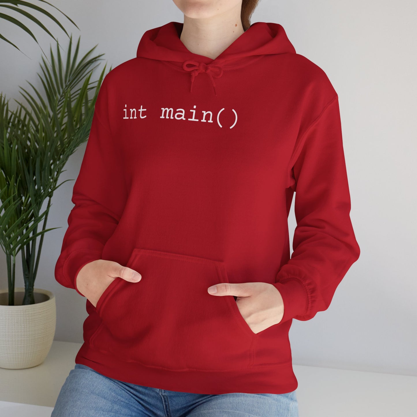 "int main()" Unisex Hoodie