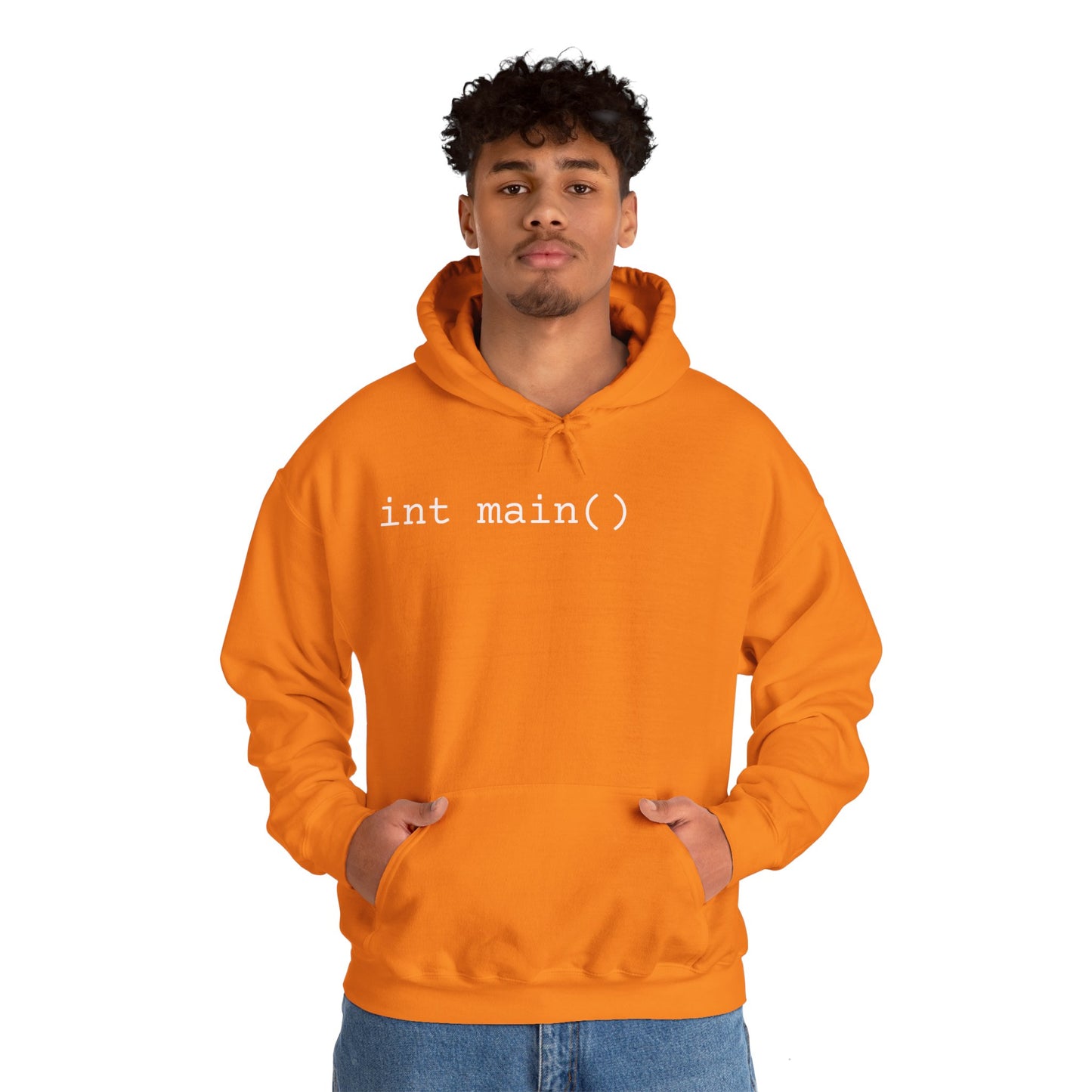 "int main()" Unisex Hoodie