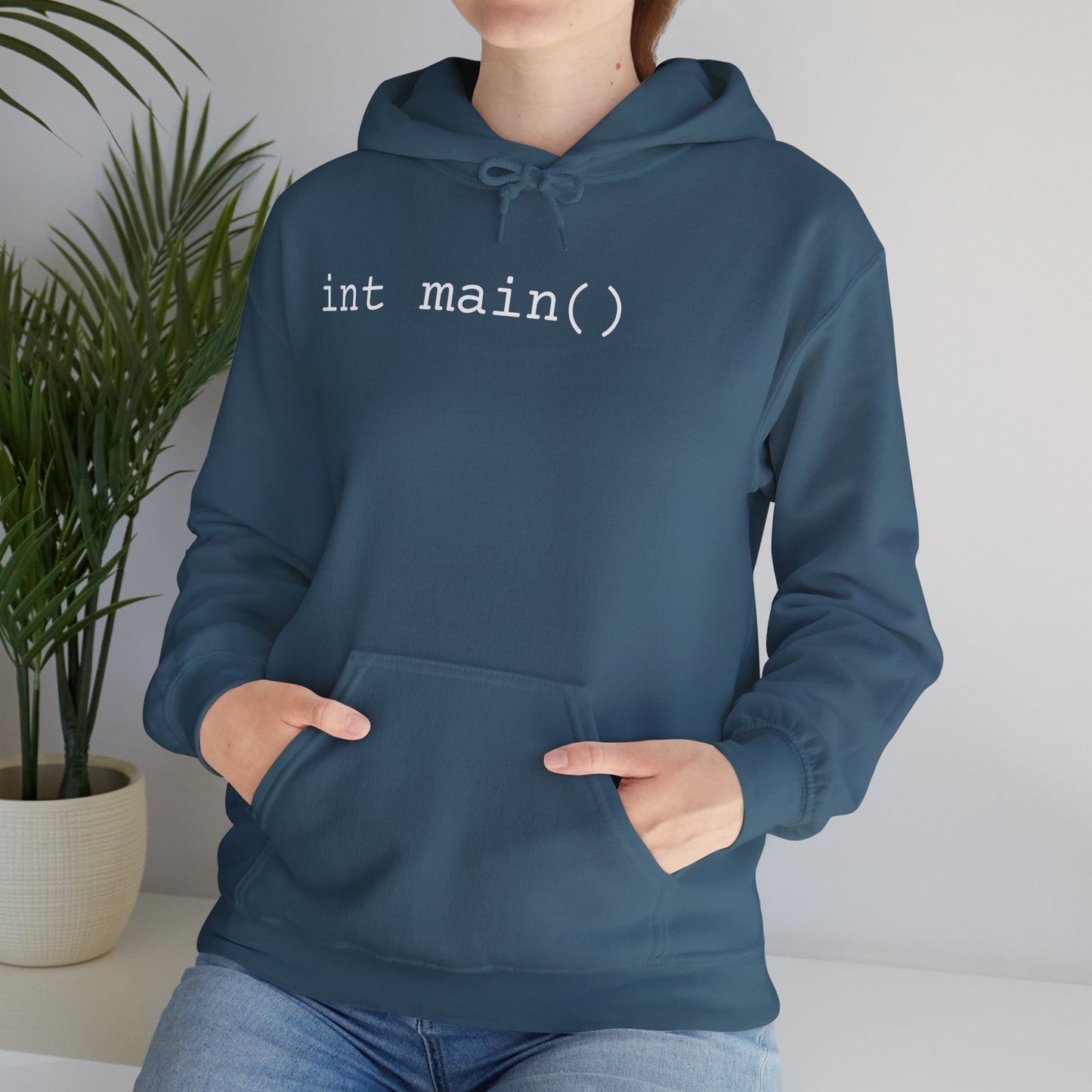 "int main()" Unisex Hoodie