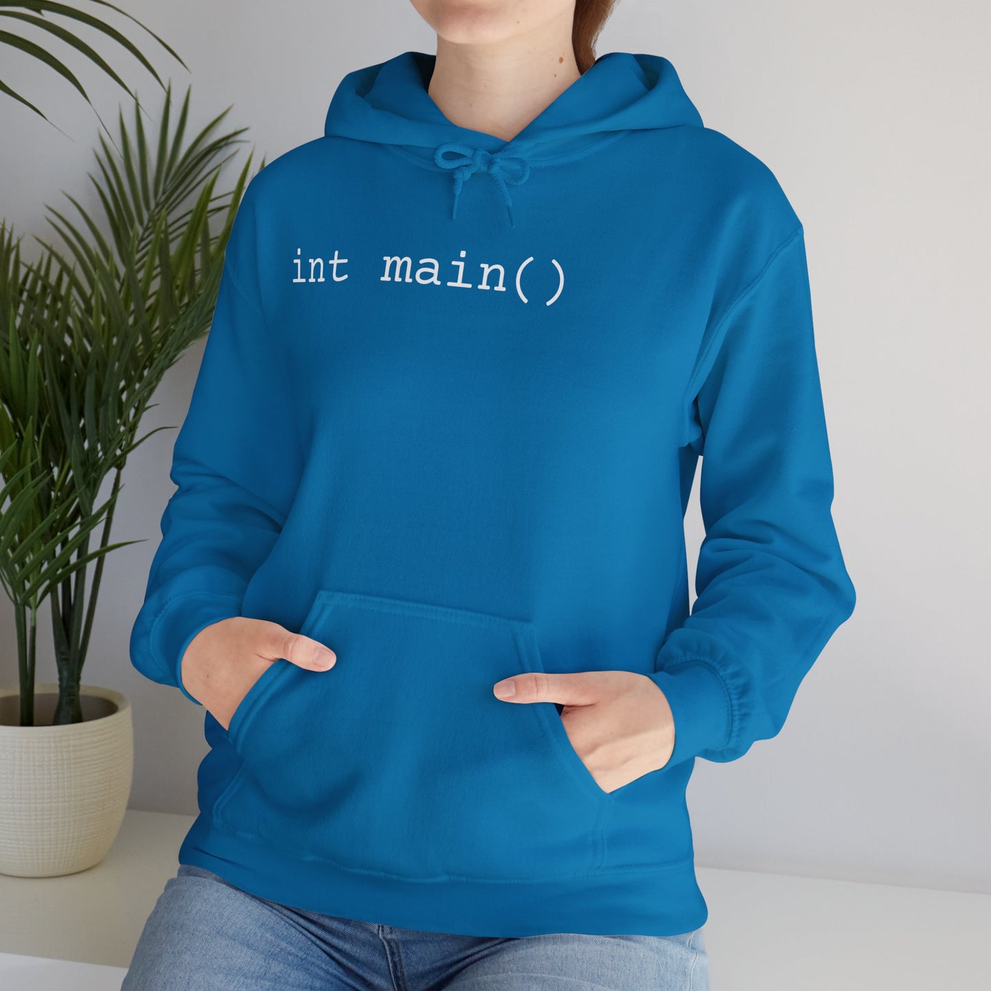 "int main()" Unisex Hoodie