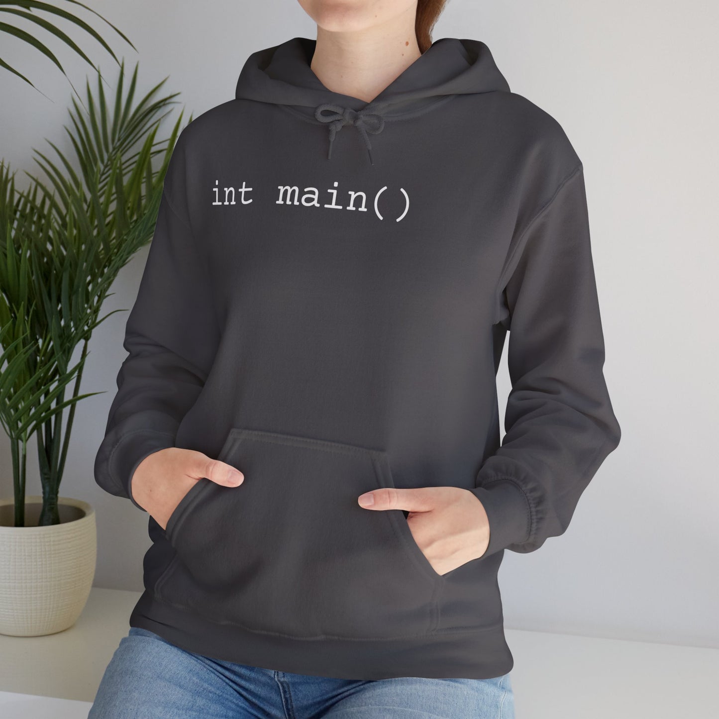 "int main()" Unisex Hoodie