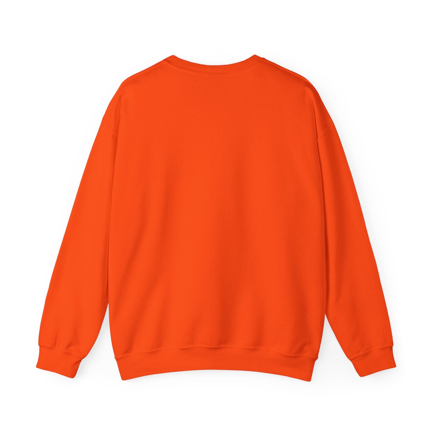 80s Coder Sweatshirt
