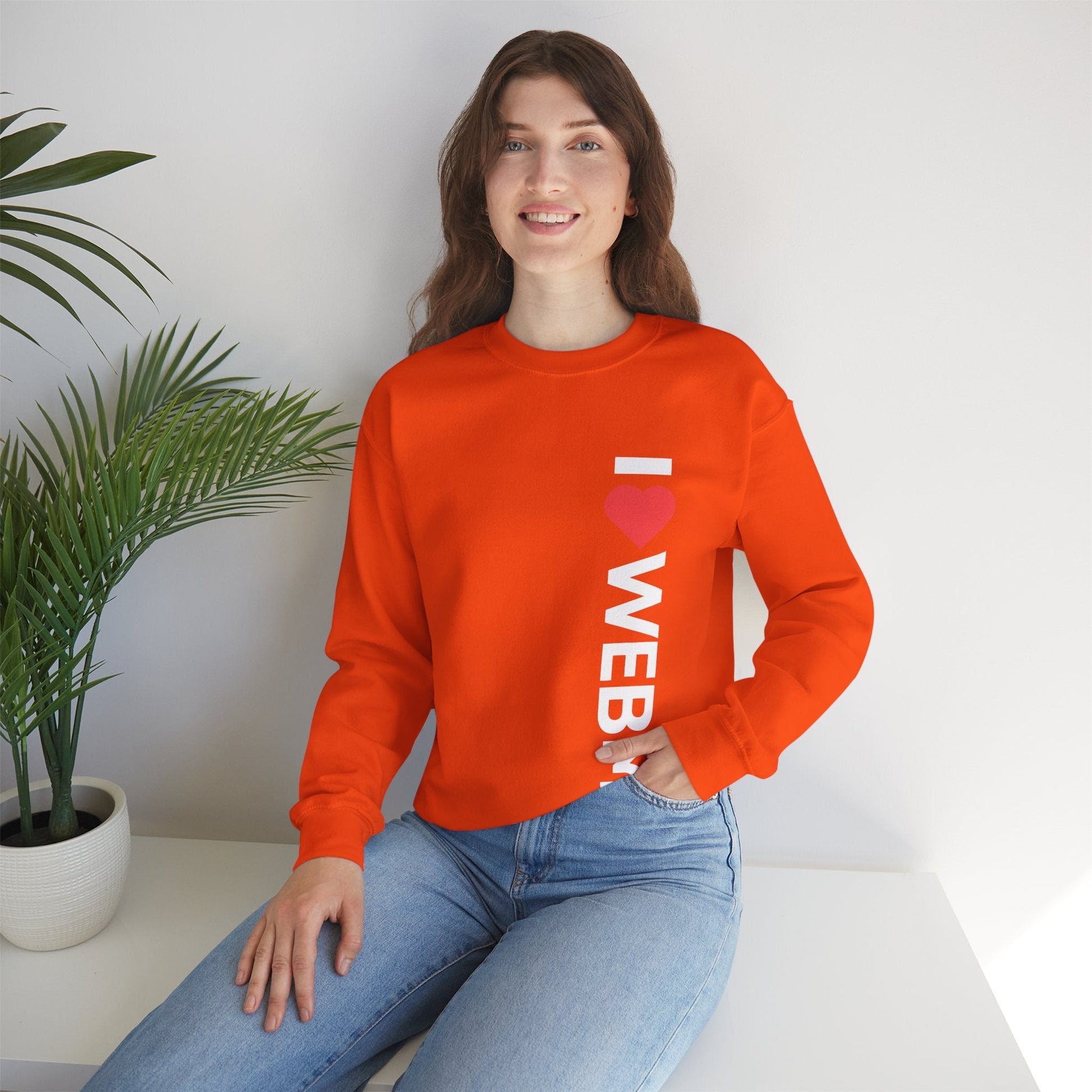 I <3 WEB3 Sweatshirt - Coder Cave