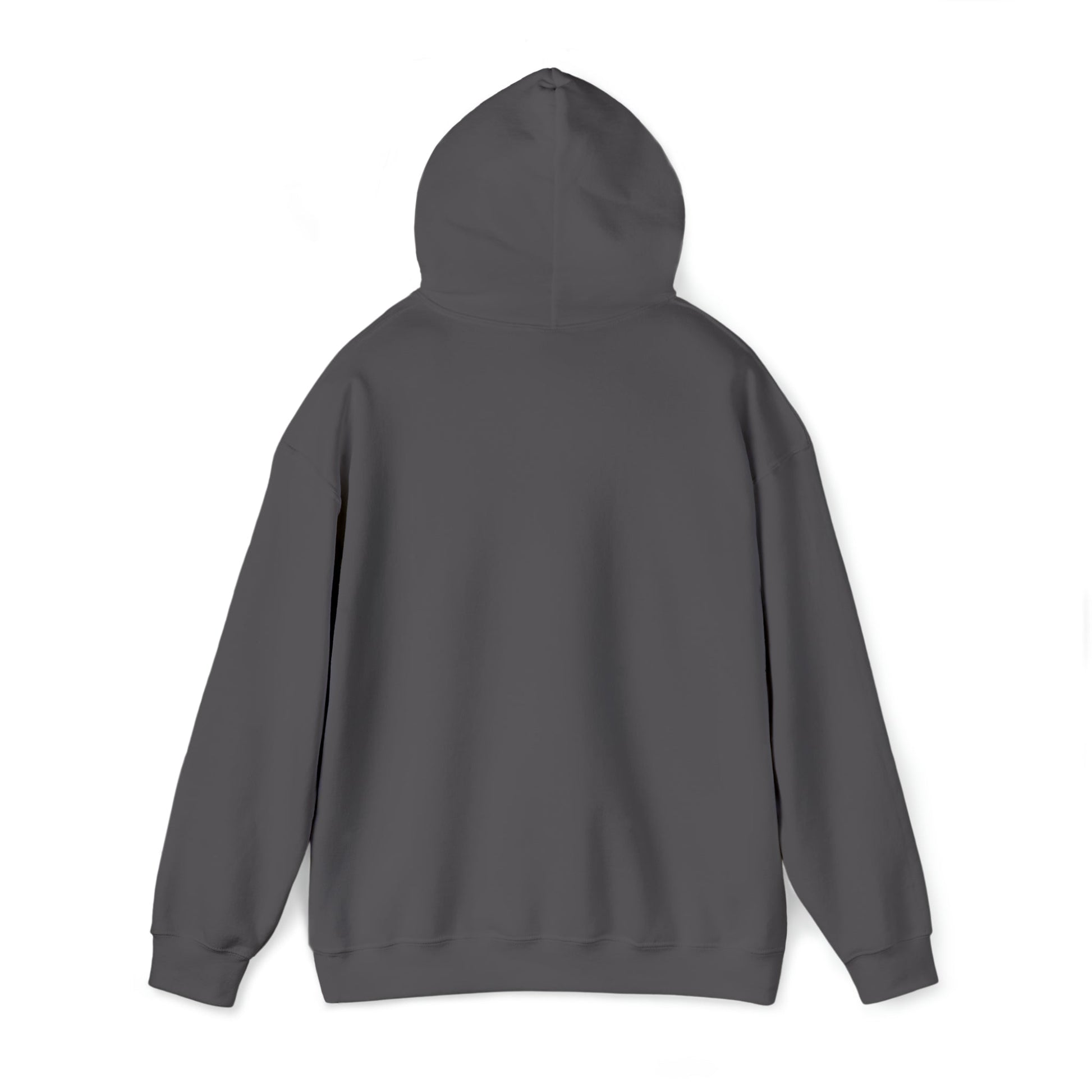 "package main" Unisex Hoodie - Coder Cave
