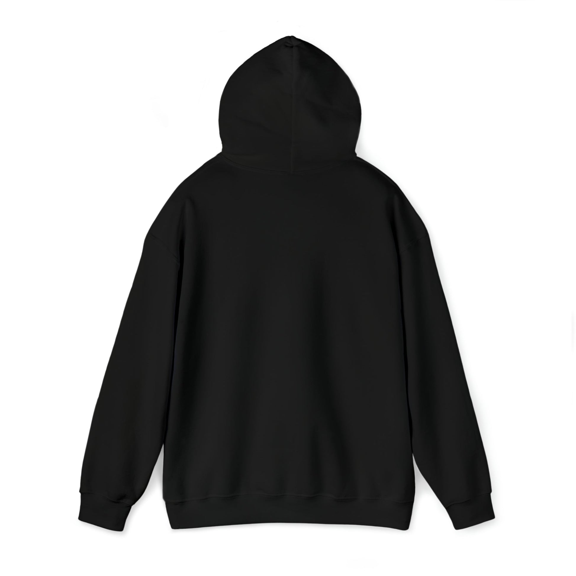 "package main" Unisex Hoodie - Coder Cave