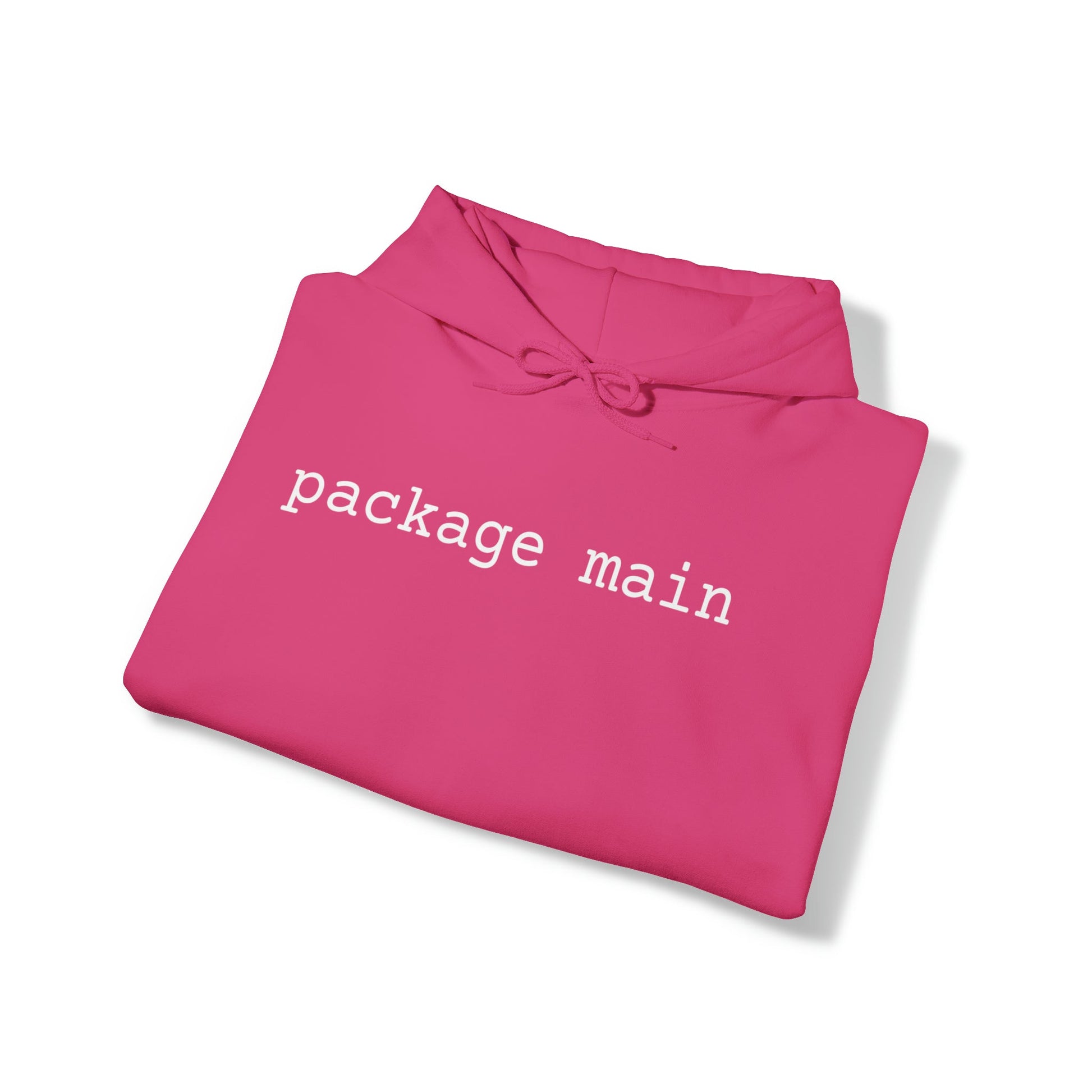 "package main" Unisex Hoodie - Coder Cave