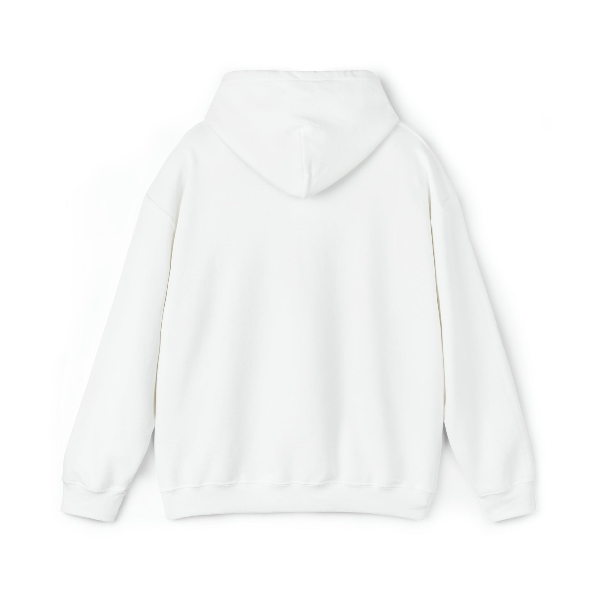 "package main" Unisex Hoodie - Coder Cave