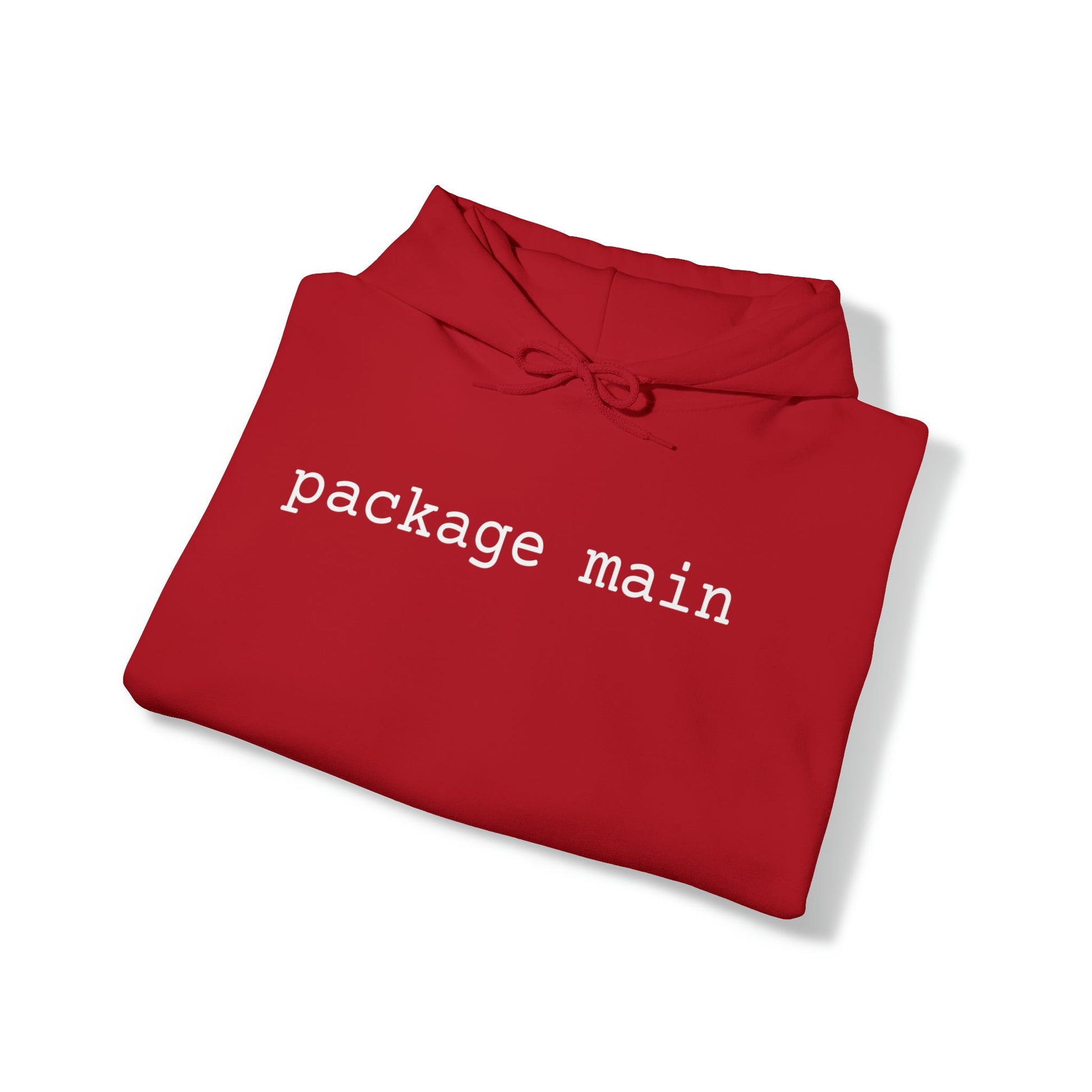 "package main" Unisex Hoodie - Coder Cave