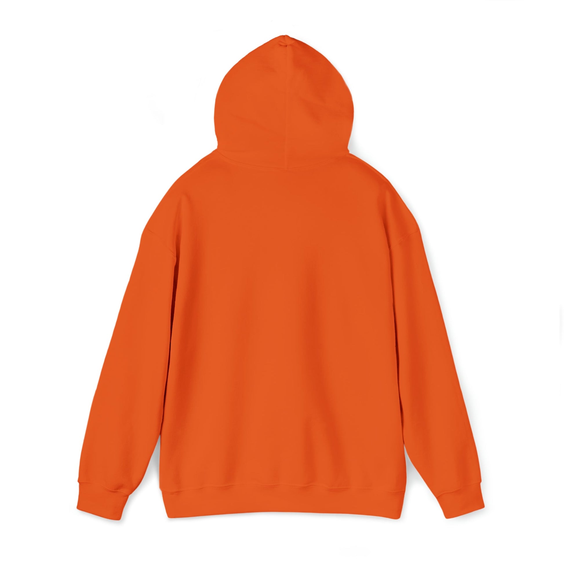 "package main" Unisex Hoodie - Coder Cave