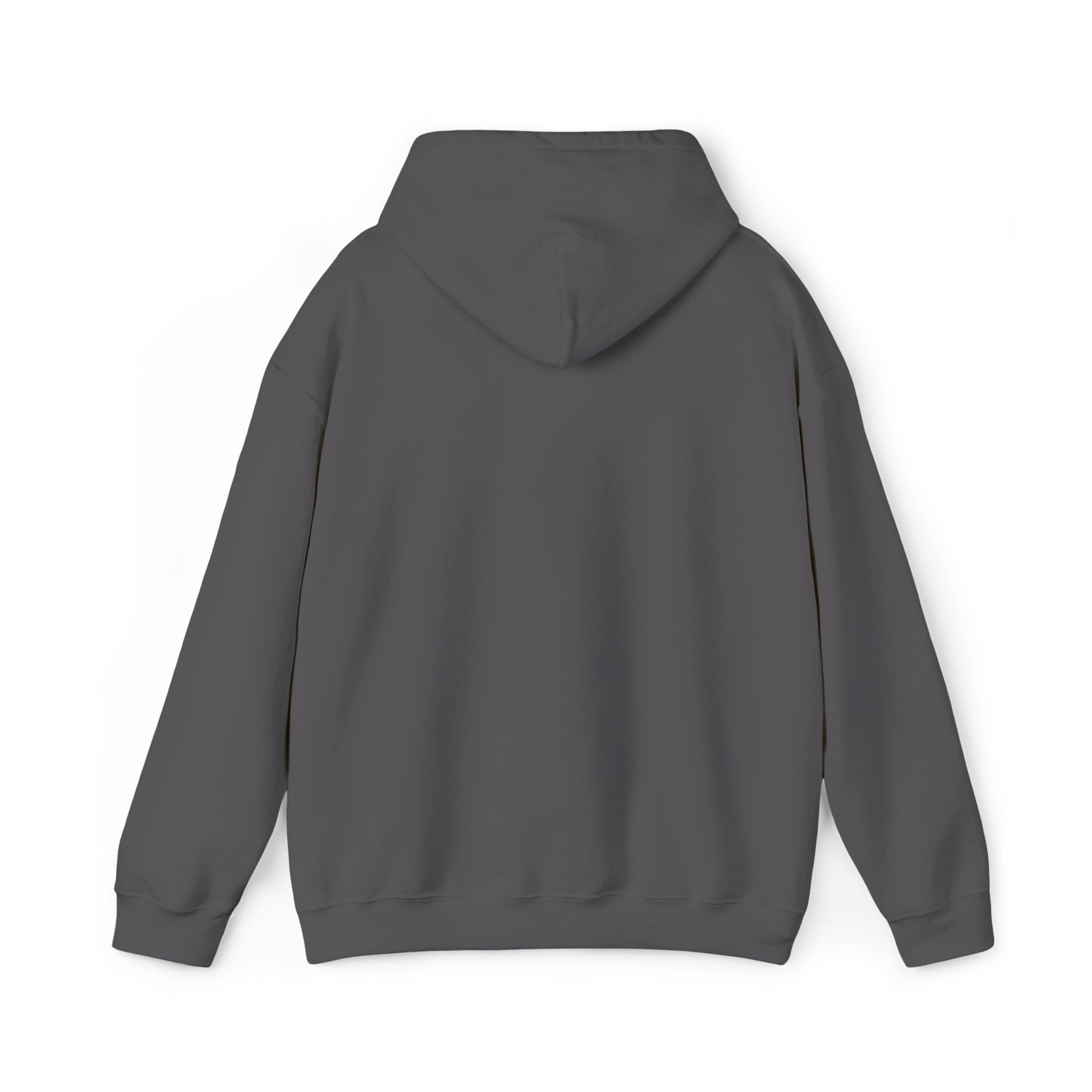 "package main" Unisex Hoodie - Coder Cave