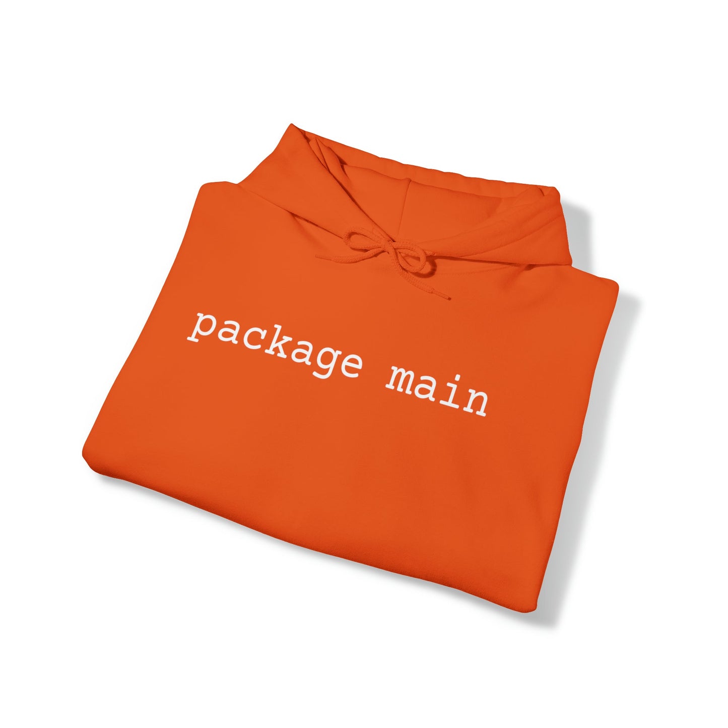 "package main" Unisex Hoodie - Coder Cave