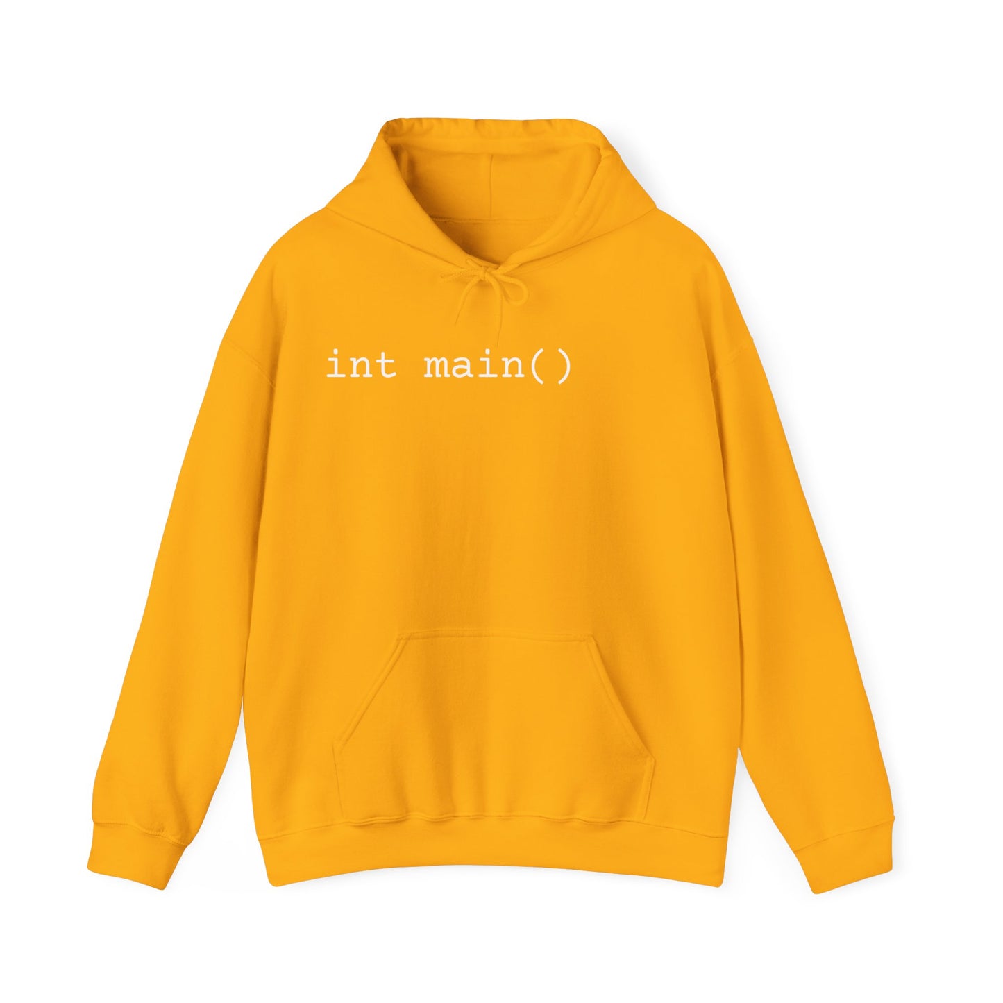 "int main()" Unisex Hoodie