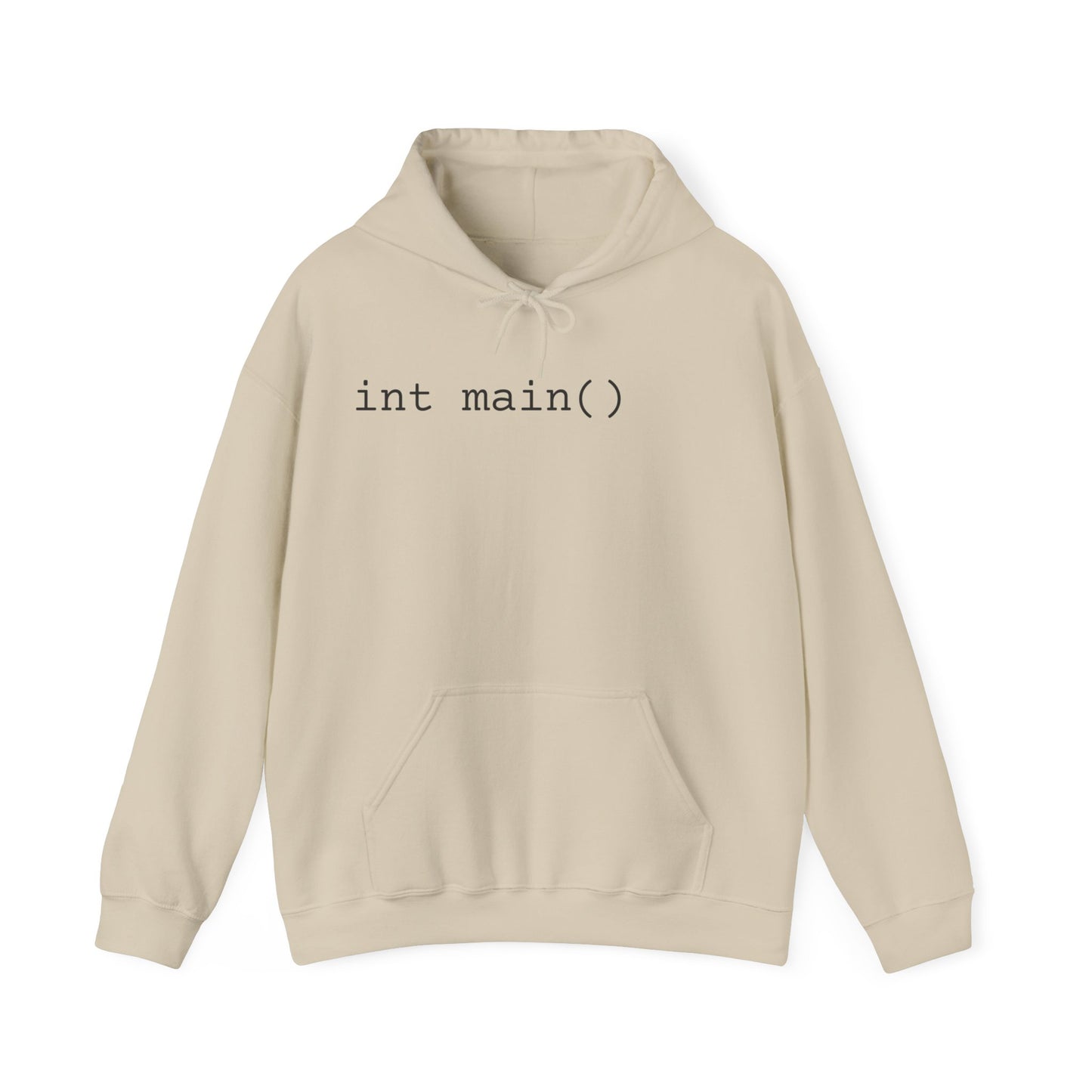 "int main()" Unisex Hoodie